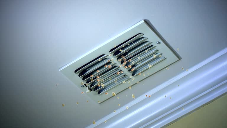 Best Air Duct Inspection  in Lamont, MI