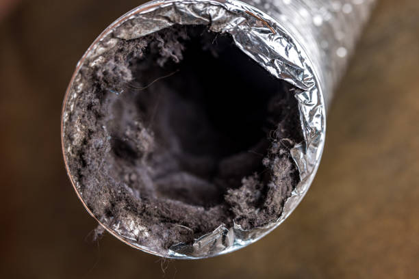 Best Best Air Duct Cleaning Company  in Lamont, MI