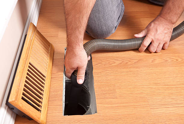 Best Dryer Vent Cleaning Services  in Lamont, MI