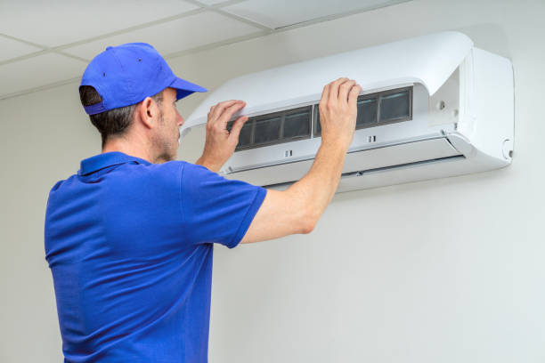 Best Air Duct Sanitizing Services  in Lamont, MI