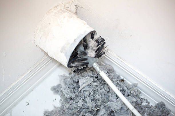 Best Residential Air Duct Cleaning  in Lamont, MI